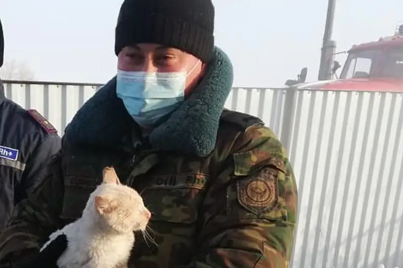 Три газовых баллона и кошку вынесли из огня акмолинские пожарные