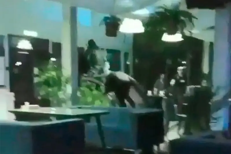 Въехавшего на лошади в кафе хулигана установила полиция Текели