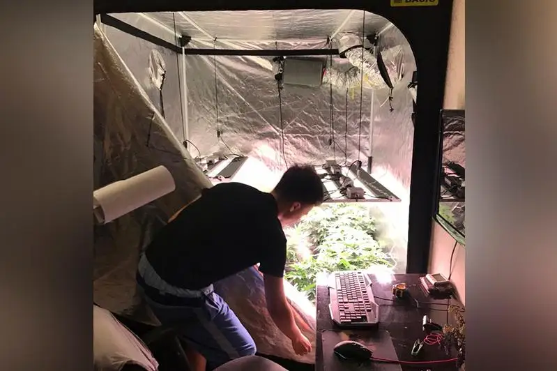 Свыше 145 кг синтетических наркотиков и 2,5 тонны прекурсоров изъято в этом году - КНБ РК