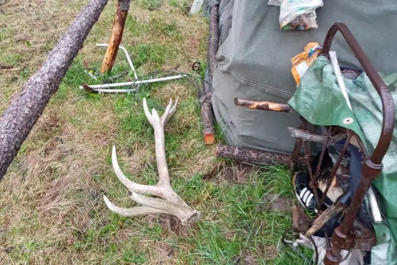 Мужчину задержали за незаконный сбор рогов диких животных в ВКО