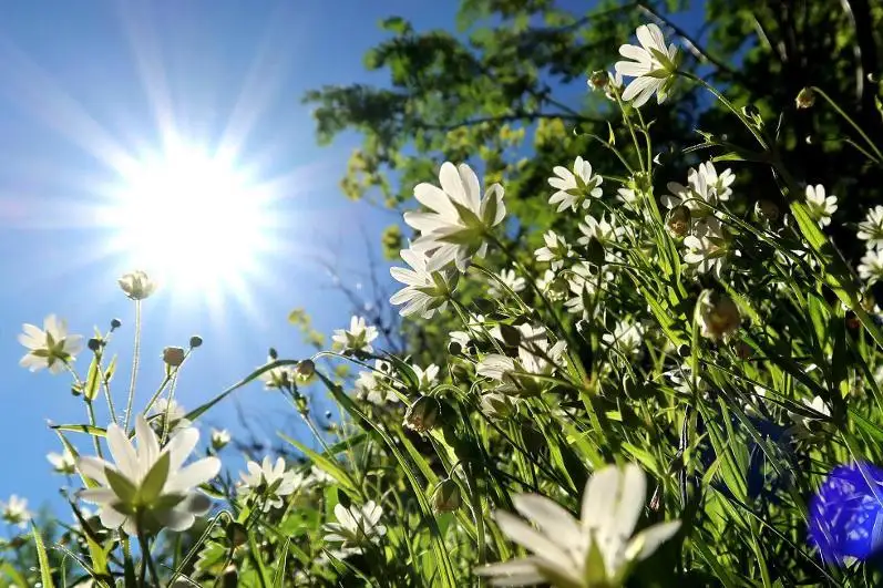 О погоде на три дня в Казахстане рассказали синоптики