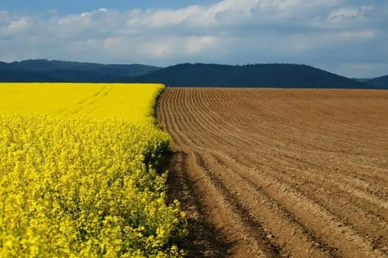 В Казахстане выявлено более 8 млн неиспользуемых земель