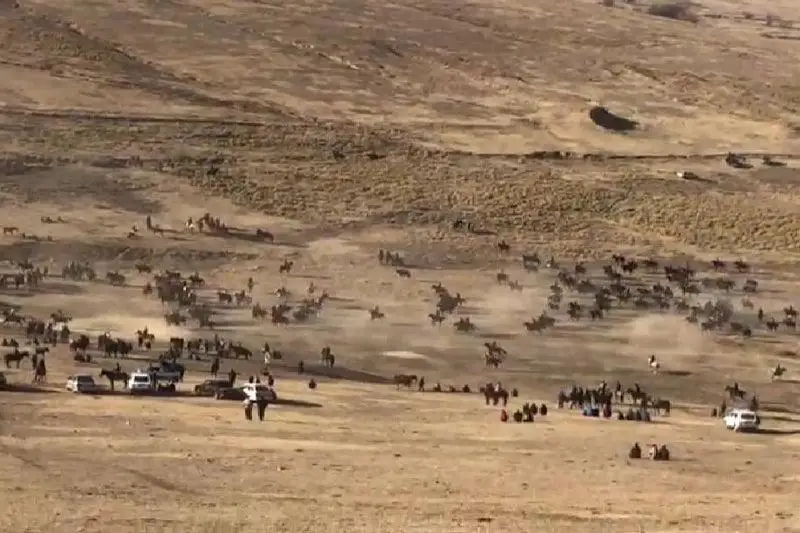 Кокпар устроил во время карантина житель Туркестанской области