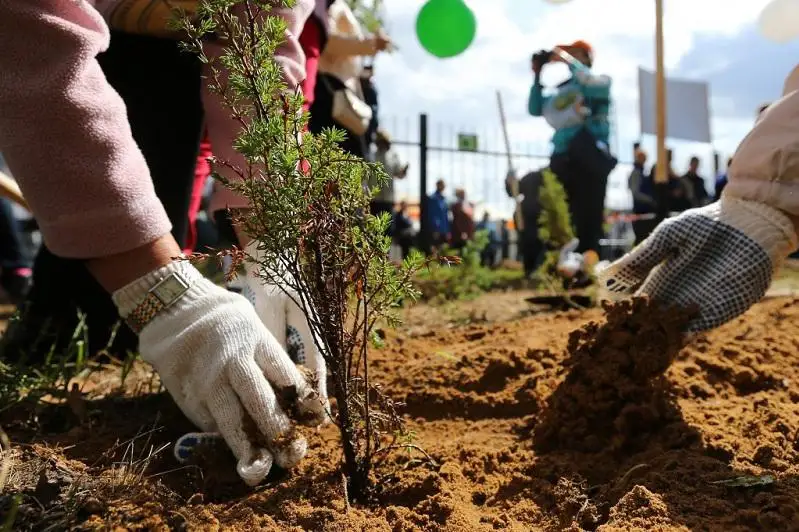 Мастер-план масштабного озеленения появится в Алматы