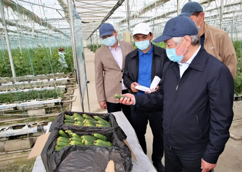 Как помочь жамбылскому сельхозпроизводителю, выяснял Бердибек Сапарбаев