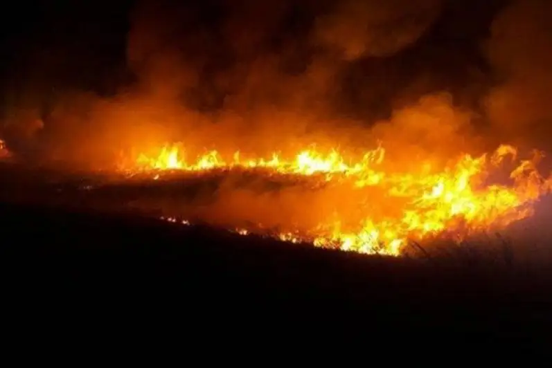 Крупный степной пожар ликвидировали в ВКО