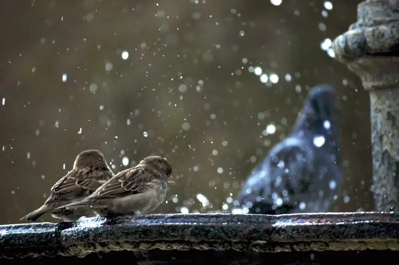 Дожди прогнозируют синоптики в Казахстане