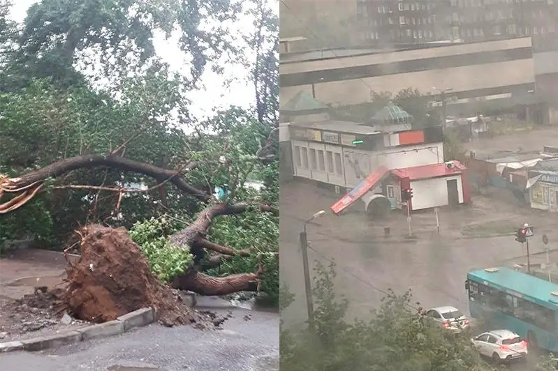 Последствия шквального ветра устраняют в Караганде