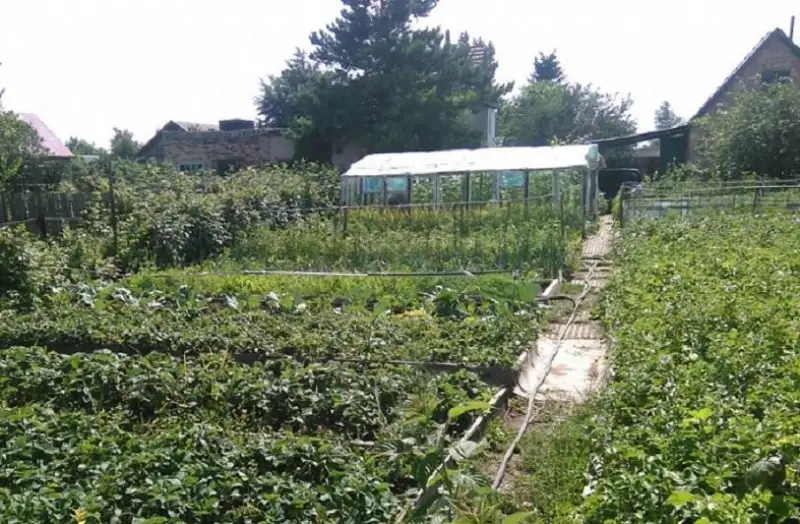 Ерлан Кошанов поручил решать проблемы дачников