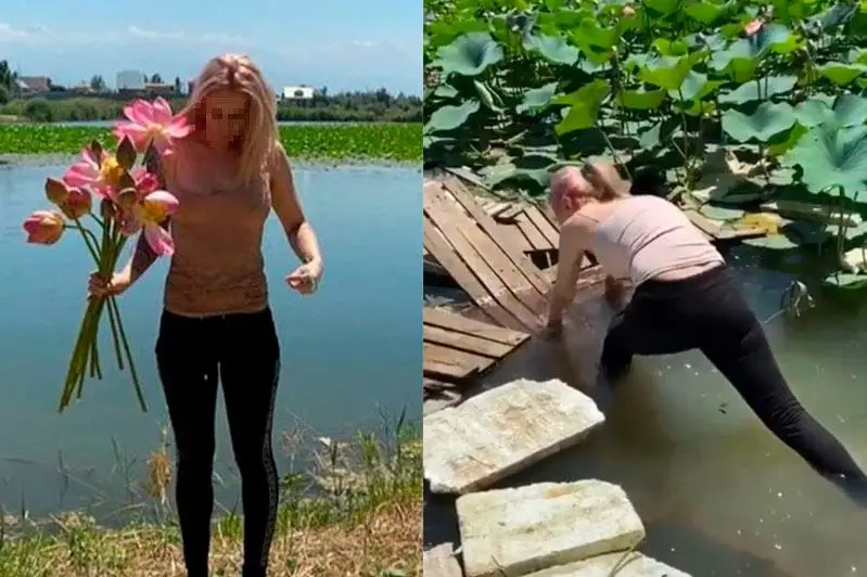 Алматинцев могут наказать за срыв редких лотосов