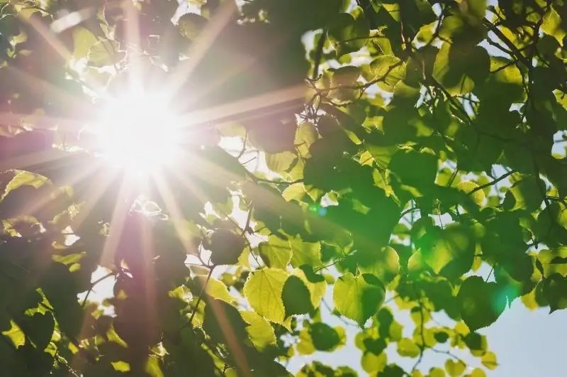 Жара до 36 градусов ожидается в Атырауской области