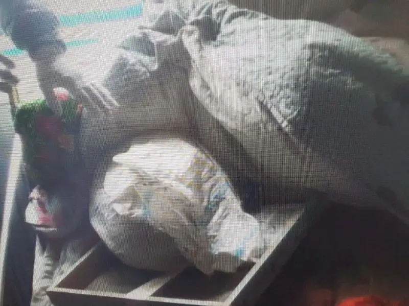 До семи лет тюрьмы грозит хранившему марихуану пастуху в Жамбылской области