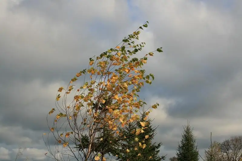 О шторме предупредили жителей ЗКО