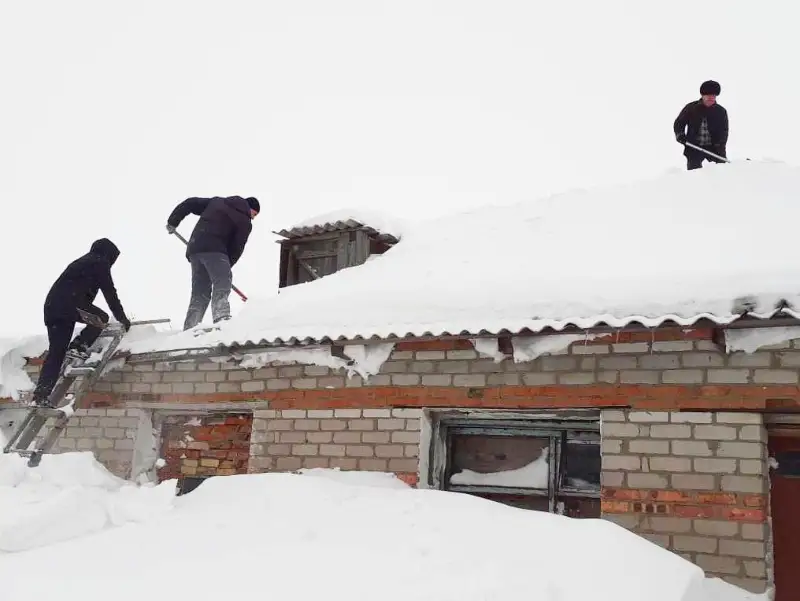 Акмолинские налоговики помогли более 40 нуждающимся семьям