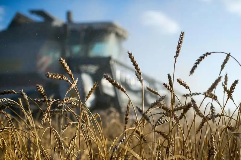 Об актуальных кадровых вопросах в аграрной сфере рассказал Жексенбай Дуйсебаев