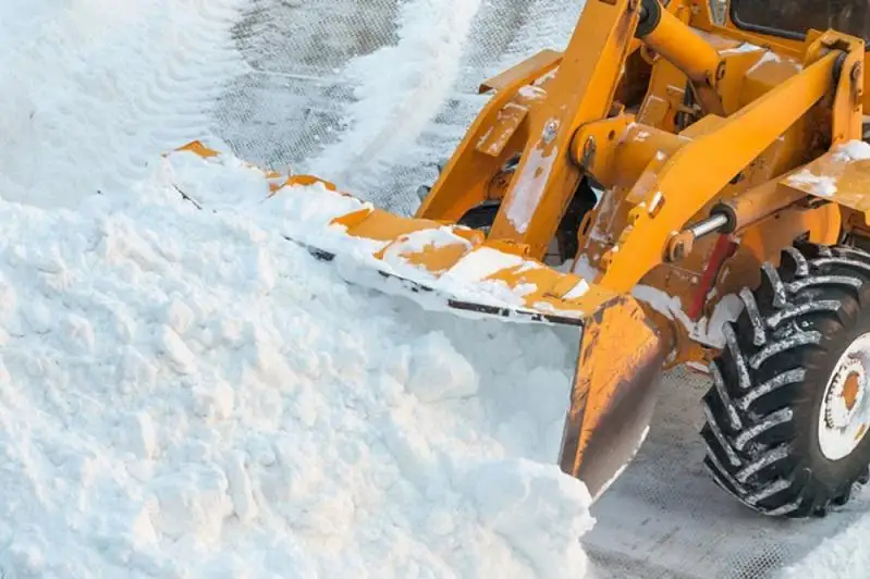 В Павлодаре с улиц за день вывезли 2,5 тысячи тонн снега