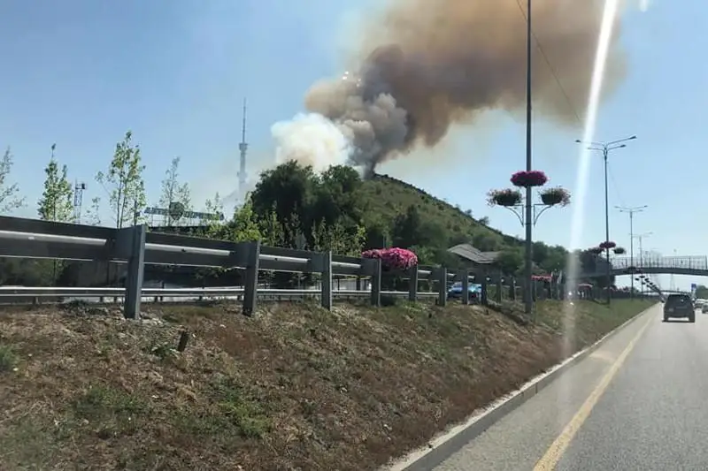 Пожар на Кок-Тобе в Алматы тушат 30 человек