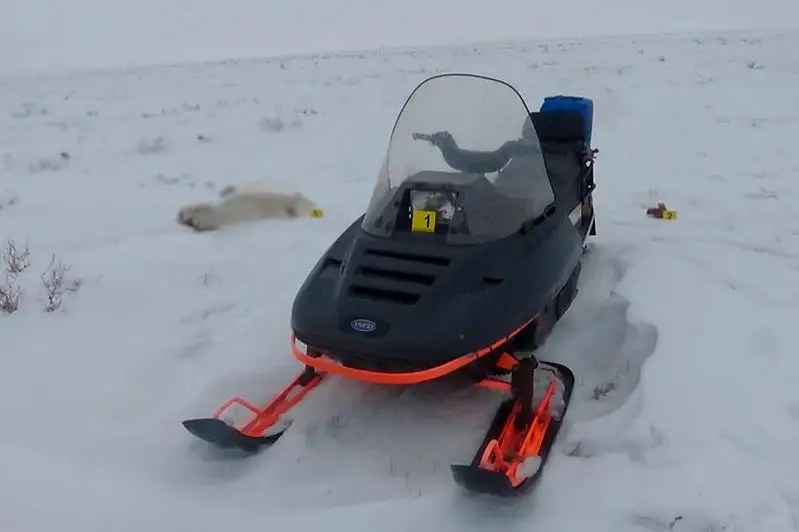 За отстрел двух сайгаков актюбинцу грозит от 3 до 7 лет лишения свободы