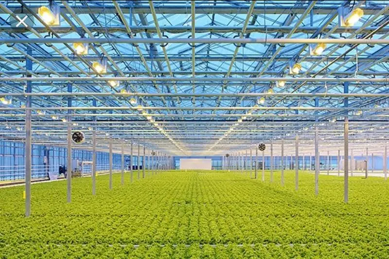 Теплицу на 20 га строят в Сайрамском районе Туркестанской области