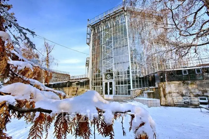 Новые входы откроют в Ботаническом саду Алматы