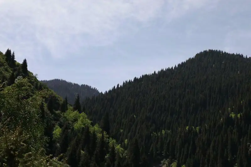 Нацпарки изменят в Казахстане: исчезнут шашлычные, появится больше троп