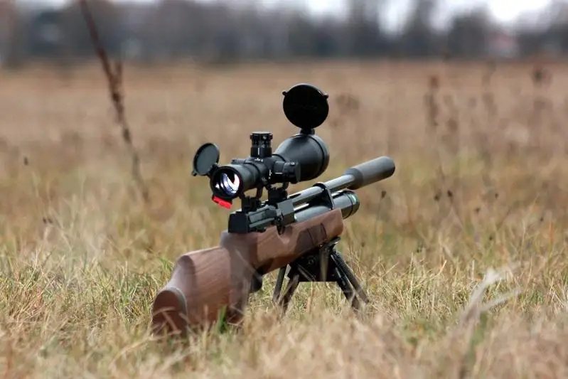 Охотники на фазанов задержаны в Алматинской области