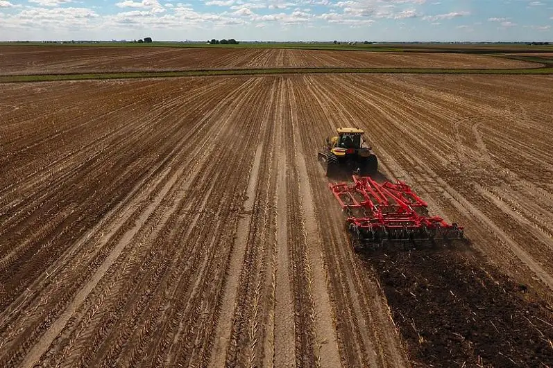 Атырауские фермеры засевают больше кормовых и овощных культур