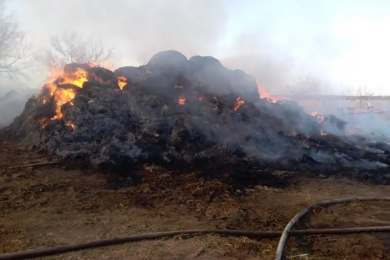 Сено на миллион тенге сжег у соседа житель ВКО