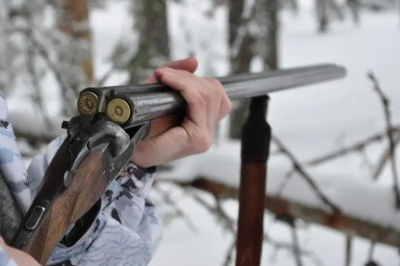 Соцсети помогли выявить случай незаконного отстрела архара и косули в Карагандинской области