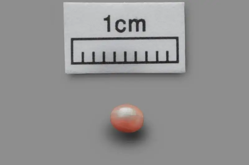 Древнейшая в мире жемчужина будет выставлена в Лувре Абу-Даби