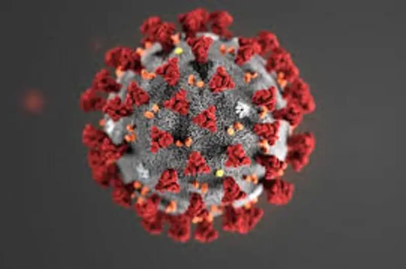 Роботов по сбору ПЦР-анализов разрабатывают в Японии