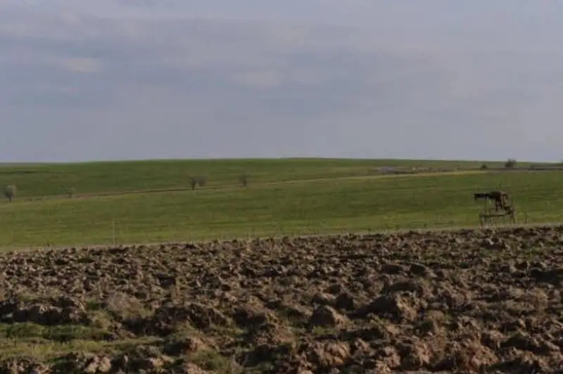 Более 2300 га неосвоенных земель возвращены государству в Ордабасинском районе