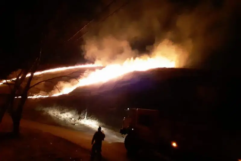 В пяти районах Алматы горел сухостой
