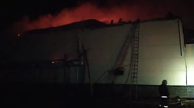 Крупный пожар тушат в Акмолинской области