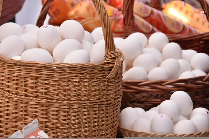 Акмолинская область увеличила объемы поставок продуктов в Нур-Султан