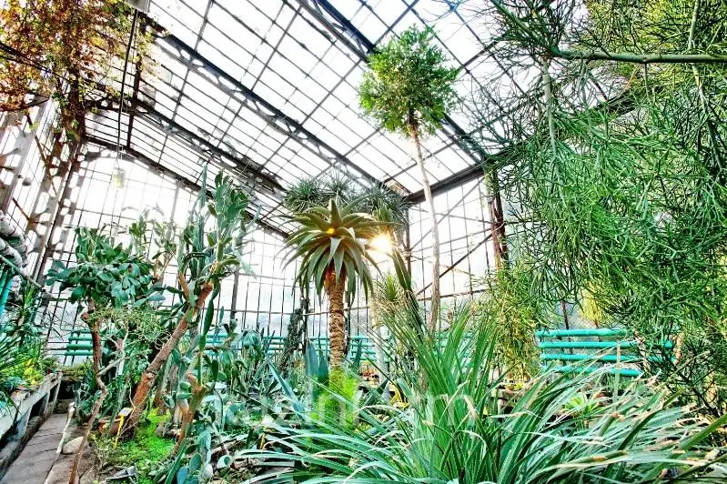 Ботанический сад Алматы откроют для посещений весной 2020 года