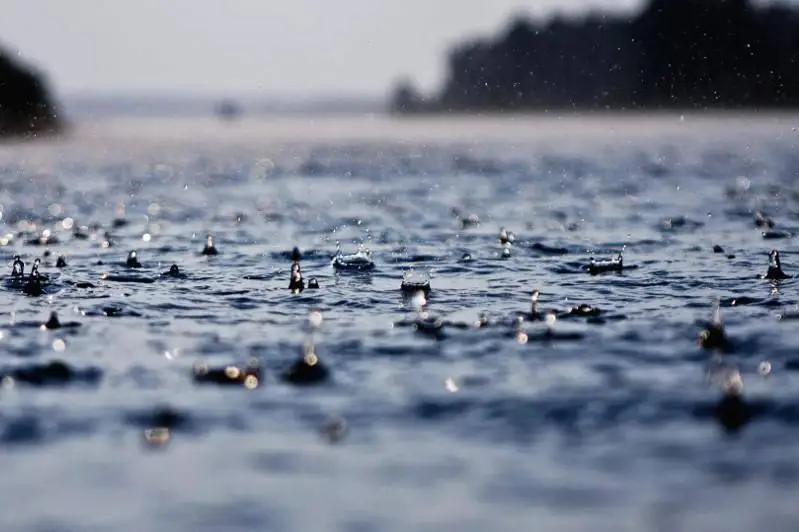 Сильный дождь прогнозируют в Акмолинской области