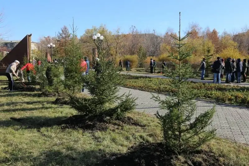 Около 10 тысяч саженцев посадили в СКО