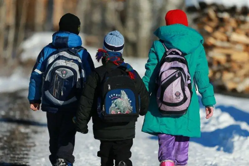 Занятия отменены в начальной школе Алтая в ВКО из-за мороза