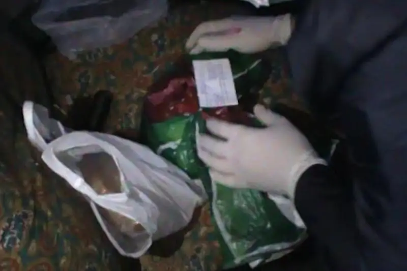 3 кг гашиша обнаружила служебная собака Барон в Жамбылской области