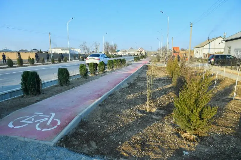 Озеленение