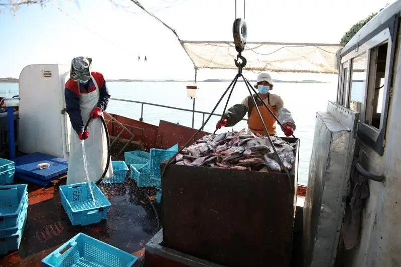 Балхашские рыбаки просят увеличить квоту вылова рыбы в Жамбылской области