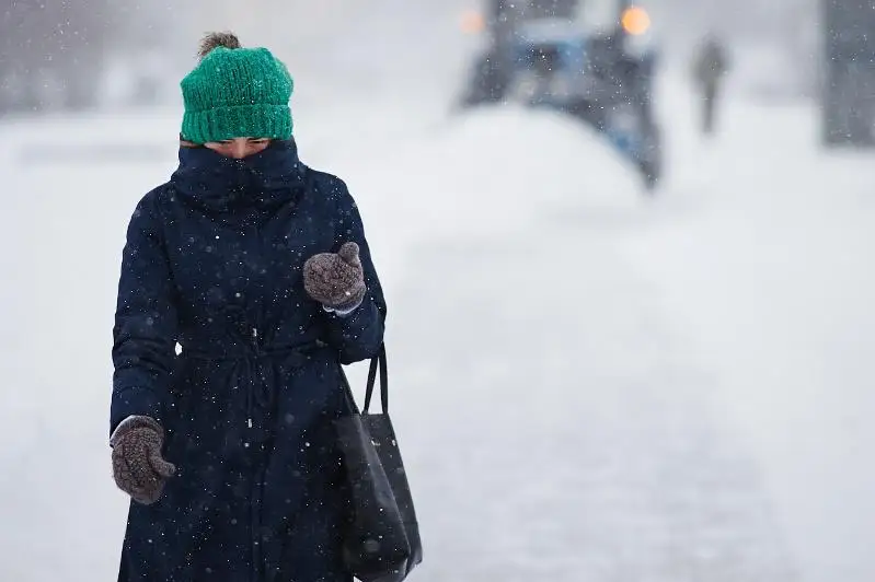 Метель, туман и усиление ветра ожидаются в Северо-Казахстанской области