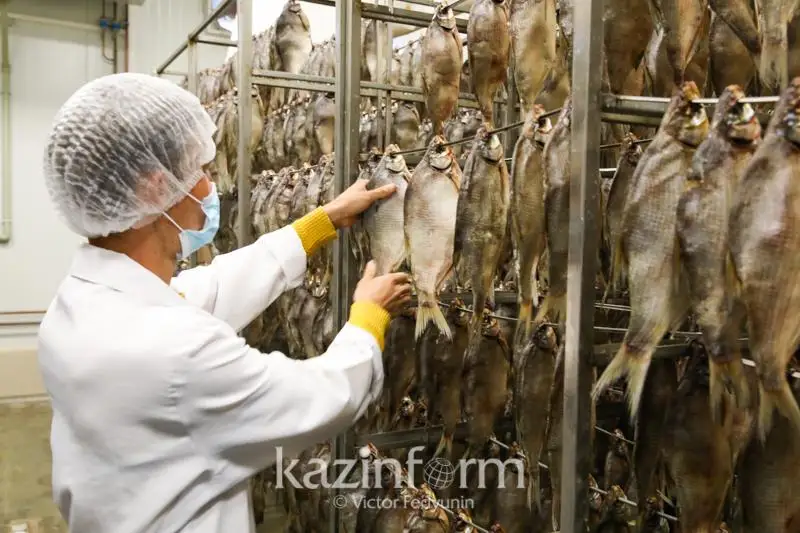 Шардаринская рыбная продукция пользуется популярностью в Европе и США