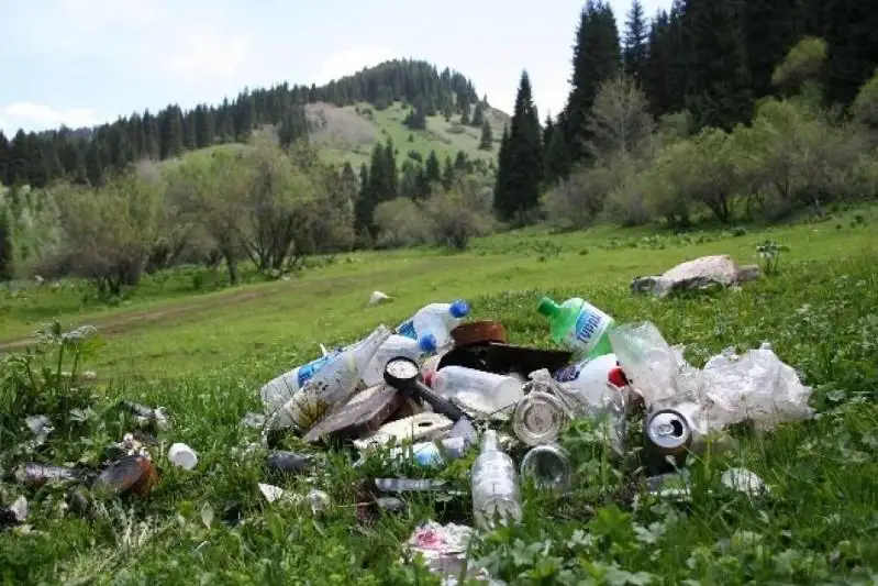 Алматинца наказали за незаконный вывоз мусора в горы