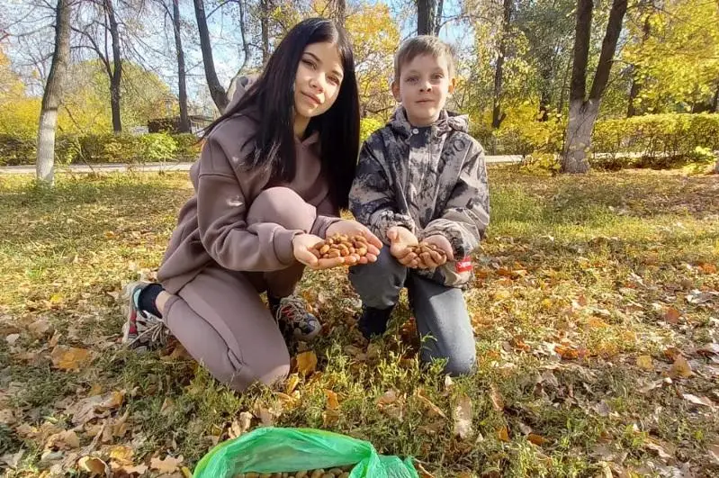 Сбор желудей для посадки дубовой рощи провели общественники Уральска