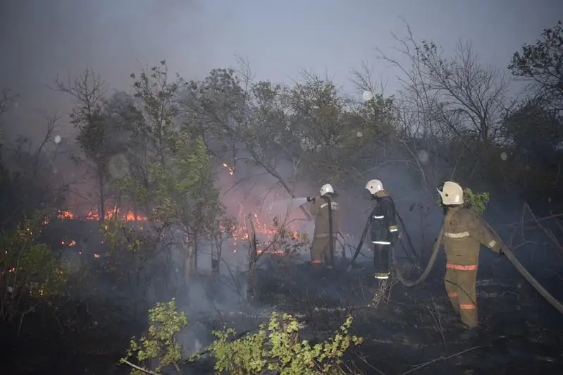 14 лесных пожаров произошли на площади более 1200 га в ЗКО