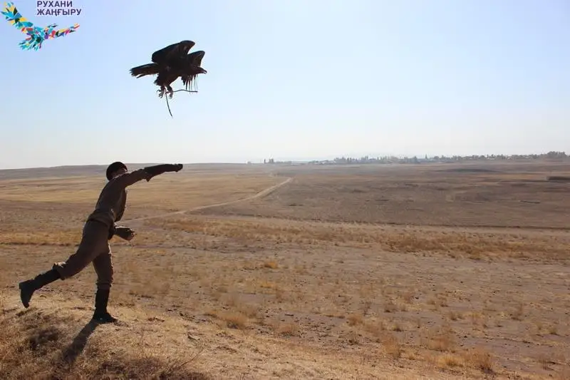 Лучшие беркутчи Казахстана состязались на турнире в Таразе