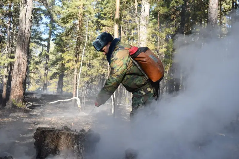 Пожарный поезд задействовали для тушения пожара в Акмолинской области