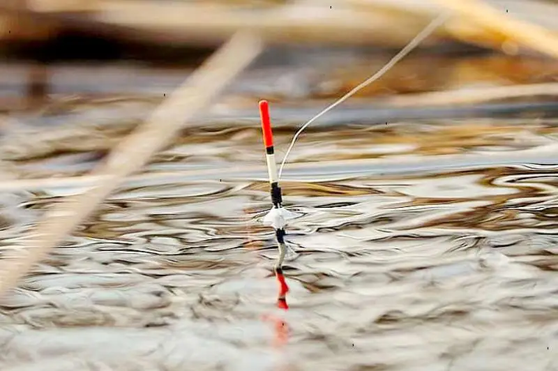 Актюбинцы рыбачат во время карантина